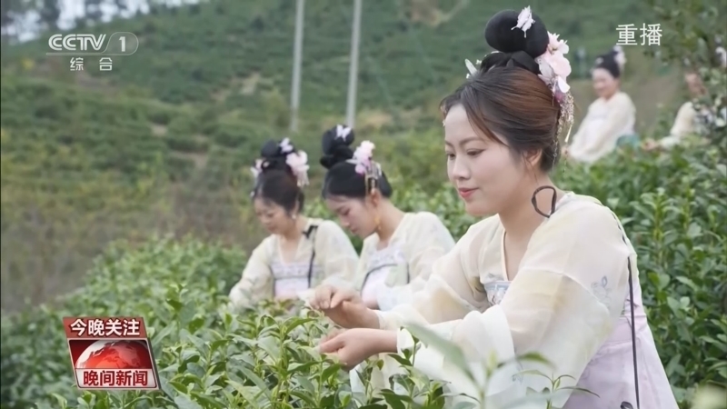 《晚间新闻》 20260402