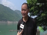 文化十分 《文化十分》 20160523