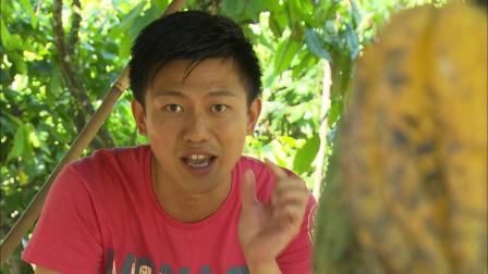 食在好源头 第三季 印度尼西亚篇：探寻海底椰、木薯粉、可可巧克力、树皮食材、麝香猫咖啡的秘密
