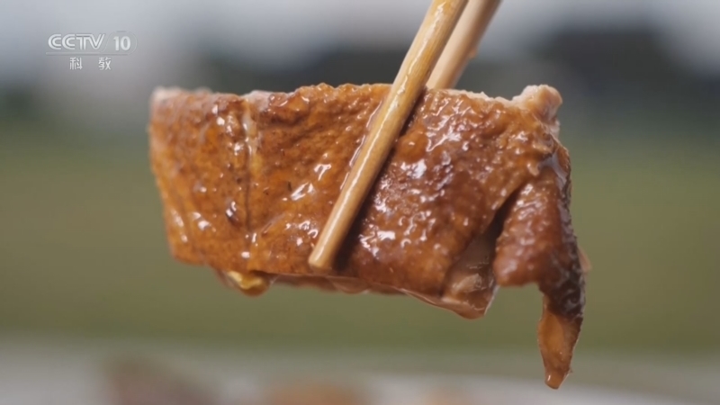 味道 《味道》 20260824 暑期美食纪（36）