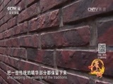 远方的家 《远方的家》一带一路 第20集 泉州：市井十洲人 20160928