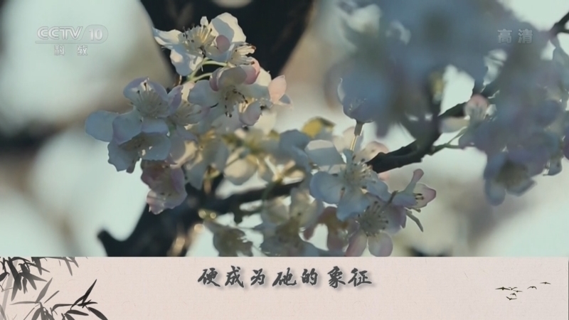 百家讲坛 《百家讲坛》 20221021 诗说先秦 7 千秋遗爱颂甘棠