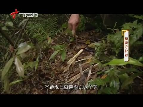 凡人大爱 《凡人大爱》 20140602 秘境守护者