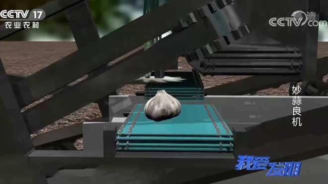 我爱发明 《我爱发明》 20200929 妙蒜良机