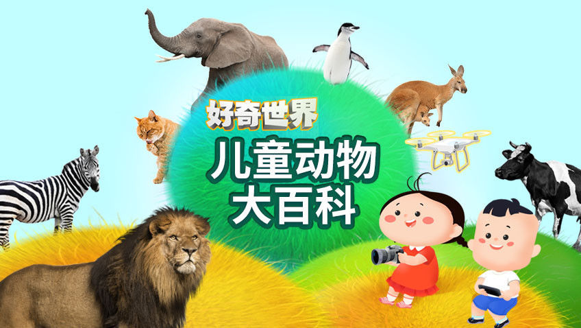 好奇世界：儿童动物大百科