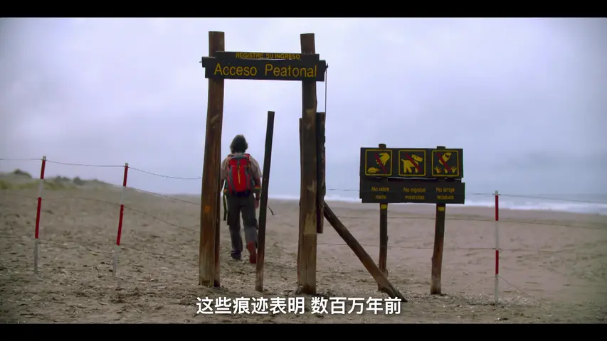 《史前巨兽大揭秘》第2集