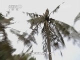 地理中国 《地理中国》 20140630 孤岛生死链
