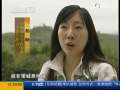 共同关注 青春记忆 下