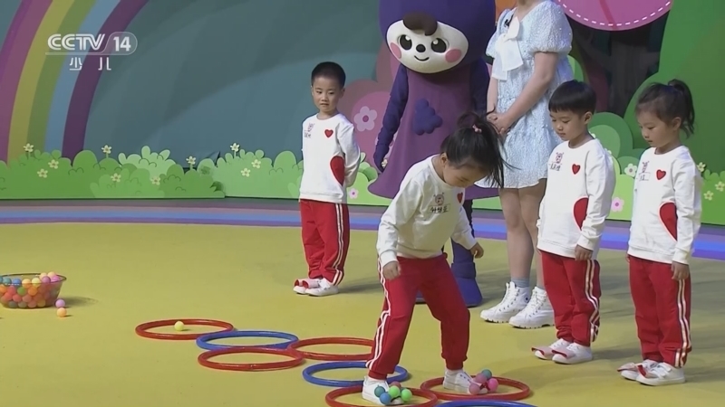 小小智慧树 《小小智慧树》 20230427