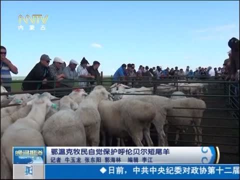 晚间报道 《晚间报道-内蒙古》 20140711