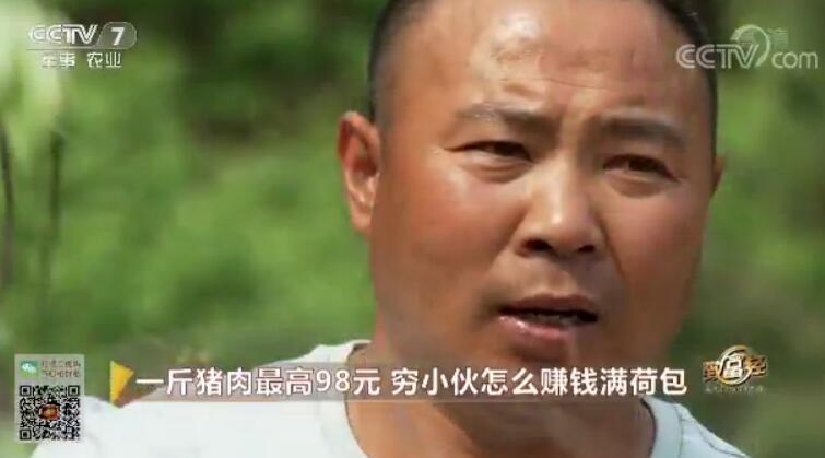 致富经 [致富经]一斤猪肉最高98元 穷小伙怎么赚钱满荷包 20180719