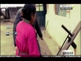 有多远走多远 《有多远走多远》 20170204 东北系列 第四集 巧妇们的年夜饭