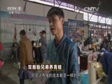 致富经 《致富经》 20151204 双胞胎兄弟养青蛙