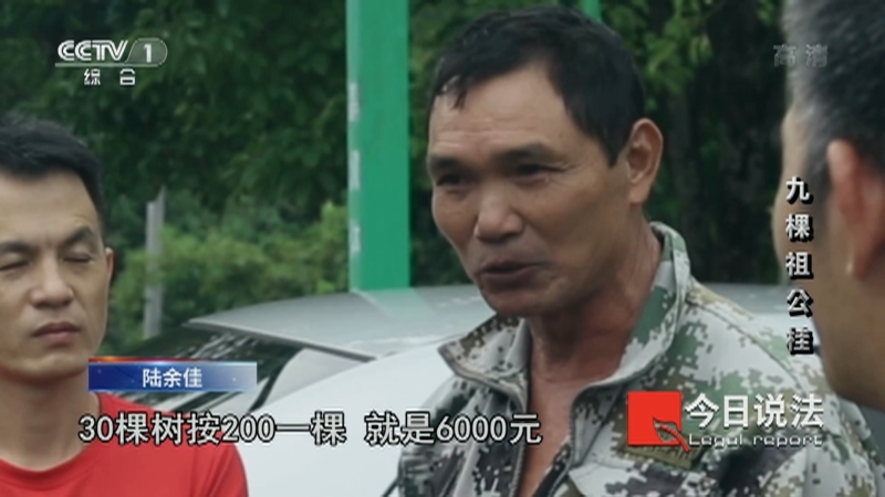 今日说法 《今日说法》 20220405 九棵祖公桂