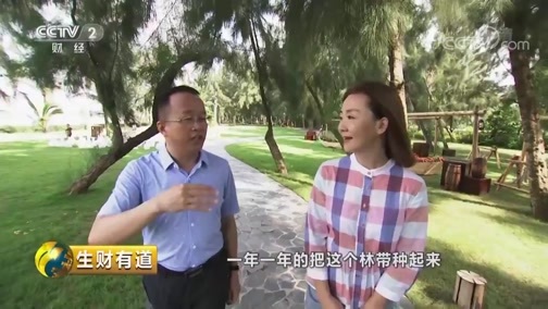 生财有道 《生财有道》 20190628 夏日经济系列——广东茂名：渔家风情海边财