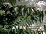 焦点访谈 《焦点访谈》 20161004 说不完的长征：生死翻越