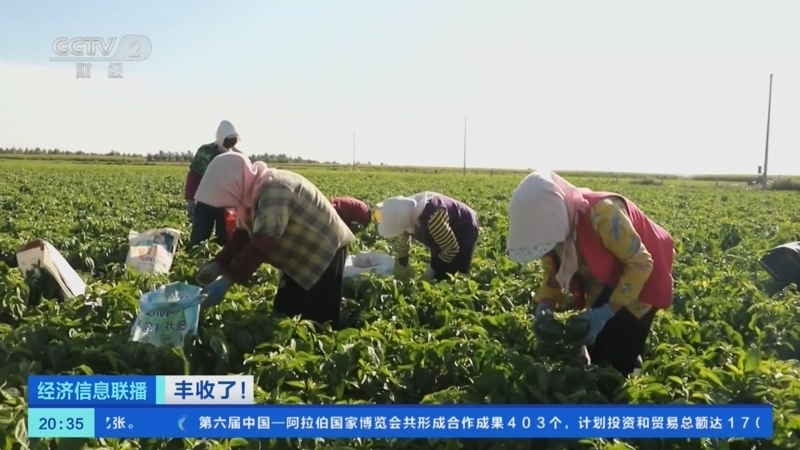 经济信息联播 《经济信息联播》 20230924