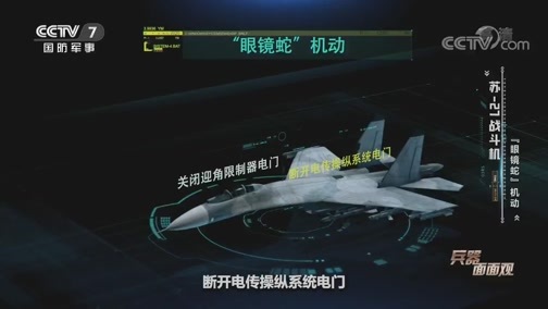 兵器面面观 《兵器面面观》 20200615 苏霍伊的“侧卫”家族——苏-27战斗机