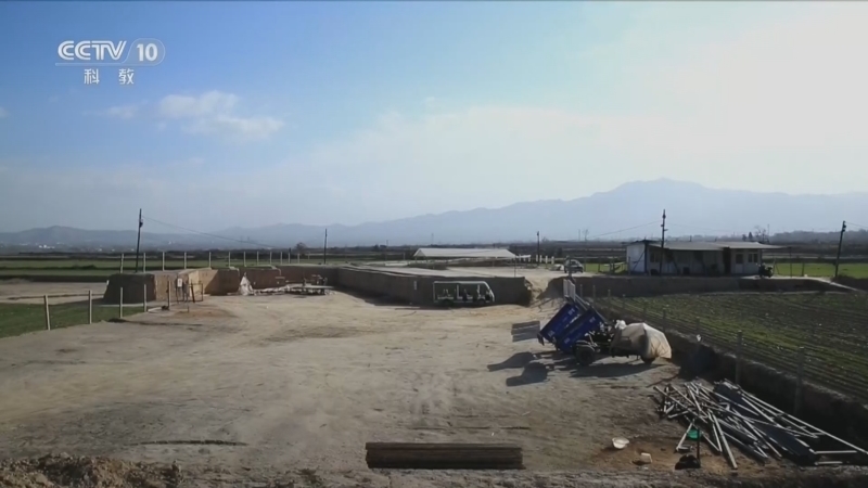 探索发现 《探索·发现》 20260508 走进发掘现场（34）