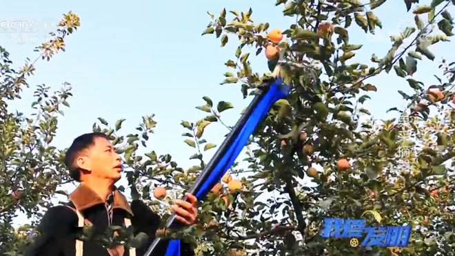 我爱发明 《我爱发明》 20200207 水果采摘器