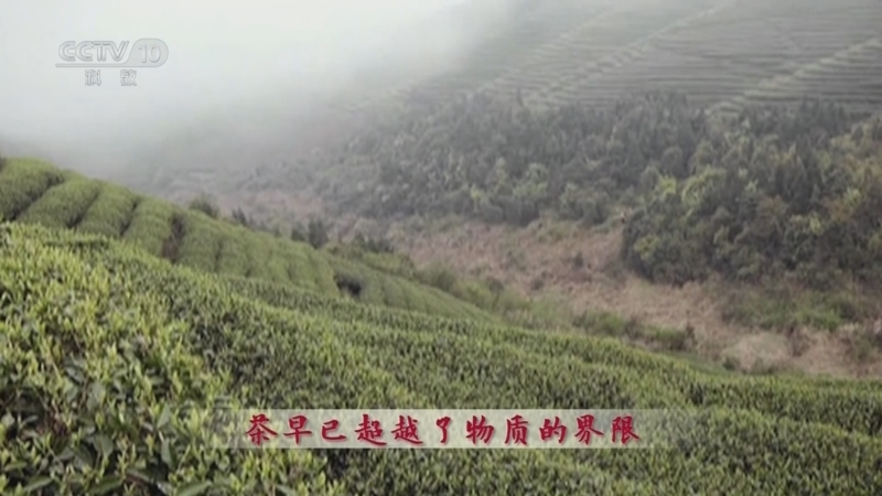 百家讲坛 《百家讲坛》 20240216 大宋梦华录（第一部） 7 一掬清泉自点茶