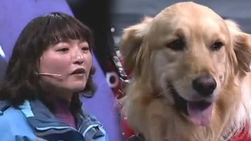 故事中国 周末版 海归女硕士2000月薪坚持训练导盲犬