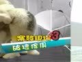 狗狗周记第一季 狗狗週記 第一季43