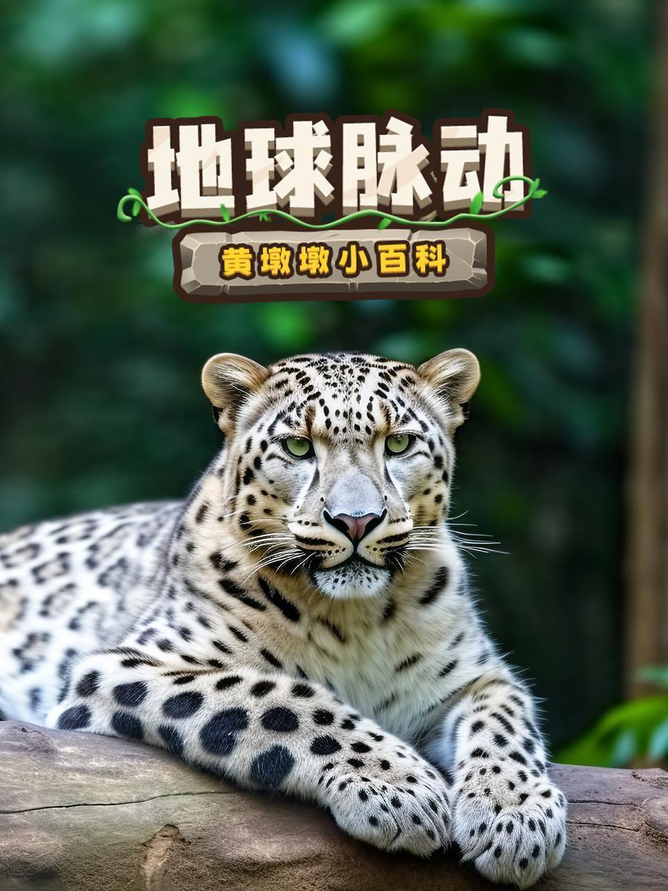 地球脉动：黄墩墩小百科