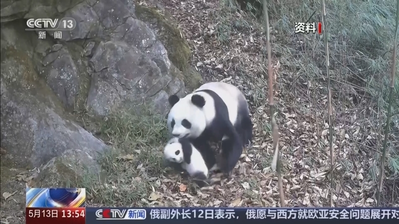 《新闻直播间》 20260513 13:00