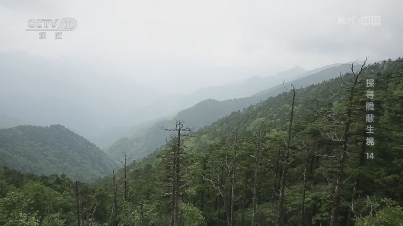 《地理·中国》 20261022 探寻隐蔽生境14