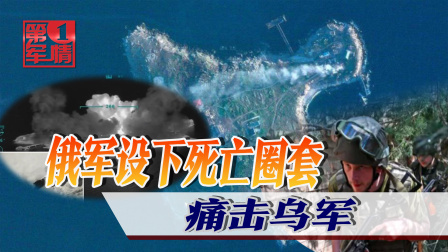 俄战斗机群逼近乌首都基辅，连线避难所中国留学生 俄军给乌克兰上了一课，在蛇岛设下死亡圈套，大批乌特种兵丧命