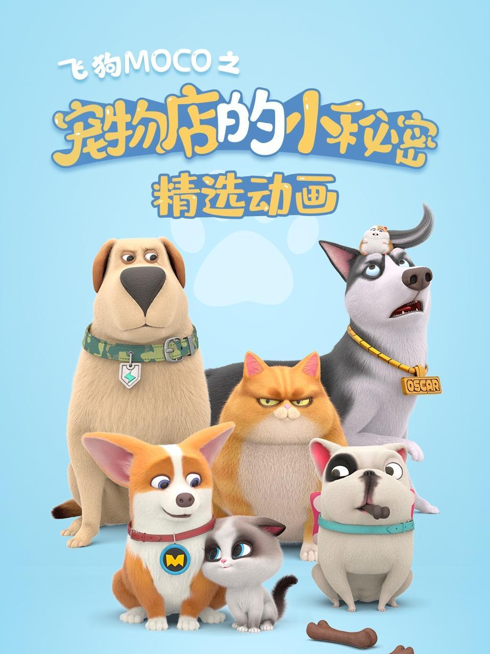 飞狗MOCO之宠物店的小秘密精选动画