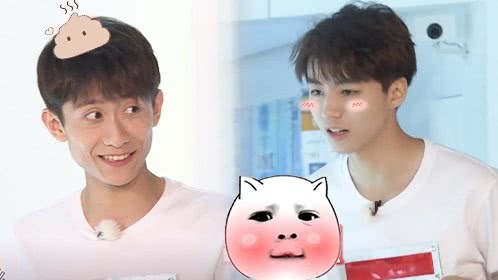 第8期：王俊凯捡羊驼粑粑