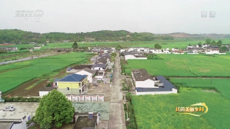 《我的美丽乡村》 20210705 顺河村里话幸福