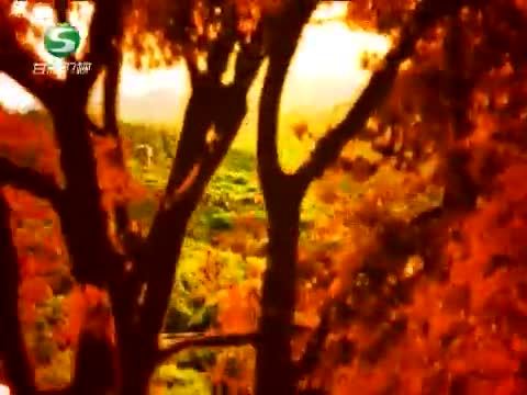 好人在身边 《好人在身边》 20140629 岳母眼中的好“儿子”陈先堂