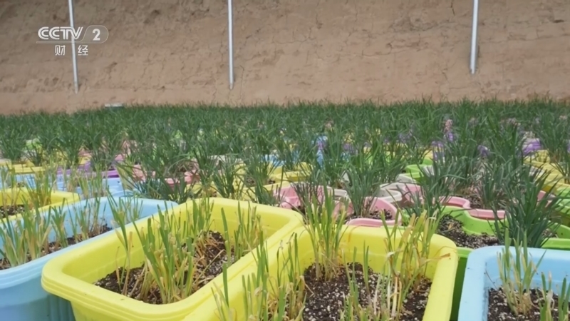 《我们的生活》 20240907