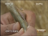 生财有道 [生财有道]双黑鸭的“鸭司令”(20130225)