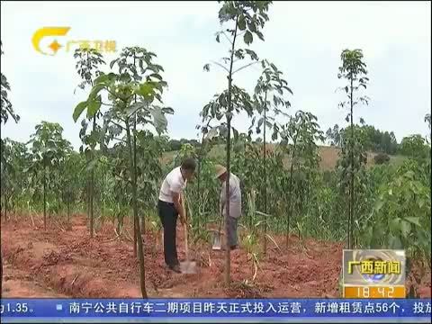 广西新闻 《广西新闻》 20141019
