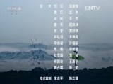 环球经济连线 《环球财经连线》 20160619