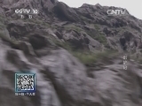 我爱发明 《我爱发明》 20140909 出铲记