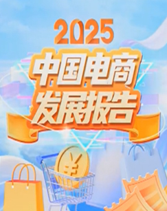 2025中国电商发展报告