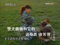 今日说法 史宾格和它的主人
