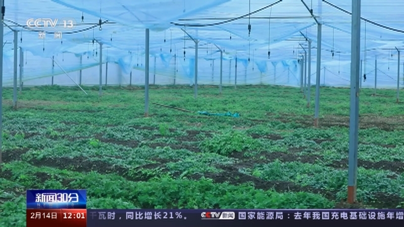 新闻30分 《新闻30分》 20230214