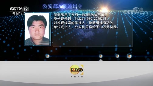 天网 《天网》 20190715 “不辞而别”的妻子