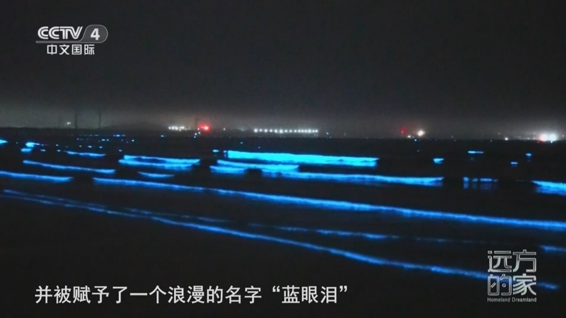 远方的家 《远方的家》 20250702 海与城的交响 平潭岛上的星辰大海