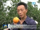新闻联播 《新闻联播》 20180401 21:00