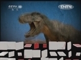 《地理中国》 20120904 系列节目《中国恐龙全景图》——汝阳巨型龙