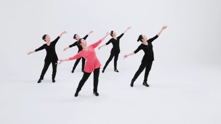 鸿雁飞飞-李萍（导视）