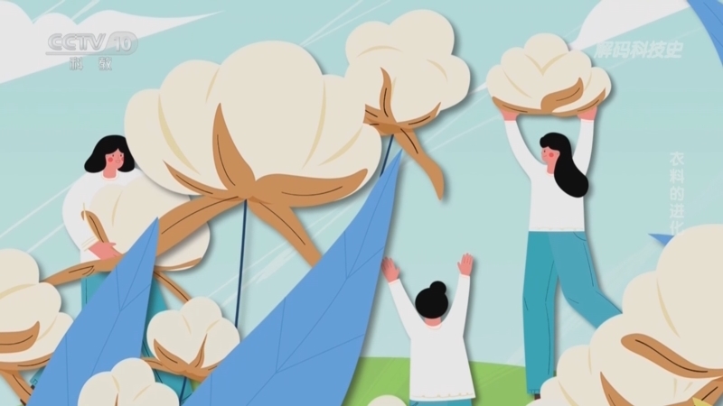 《解码科技史》 20251119 衣料的进化