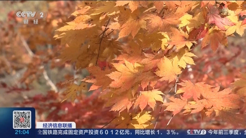 《经济信息联播》 20261021